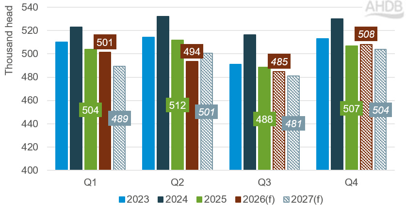 Grouped bar chart showing quarterly cattle slaughter forecasts from 2023 to 2027. Slaughter numbers 